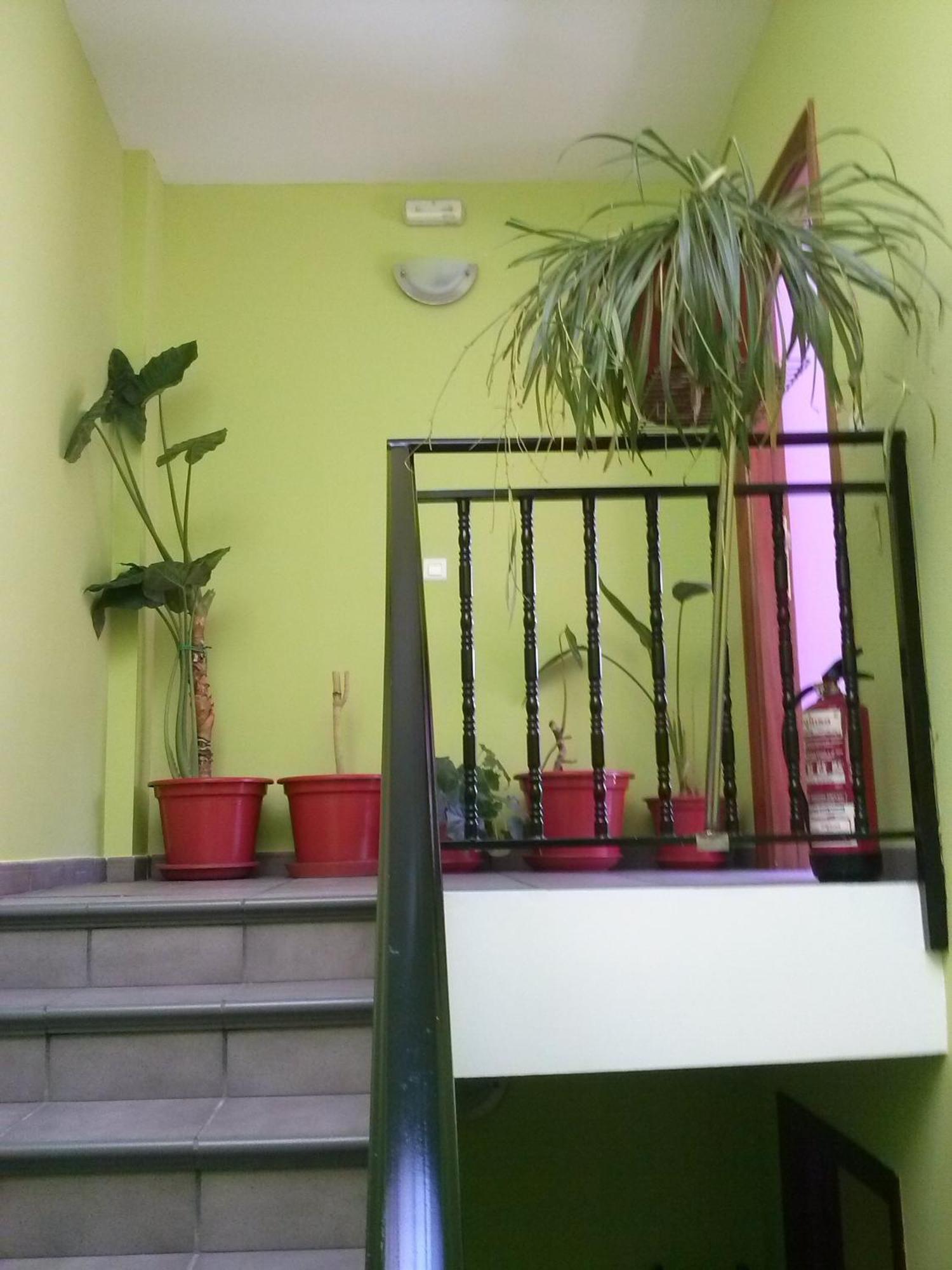 Hostal Ciudad De Najera Bilik gambar